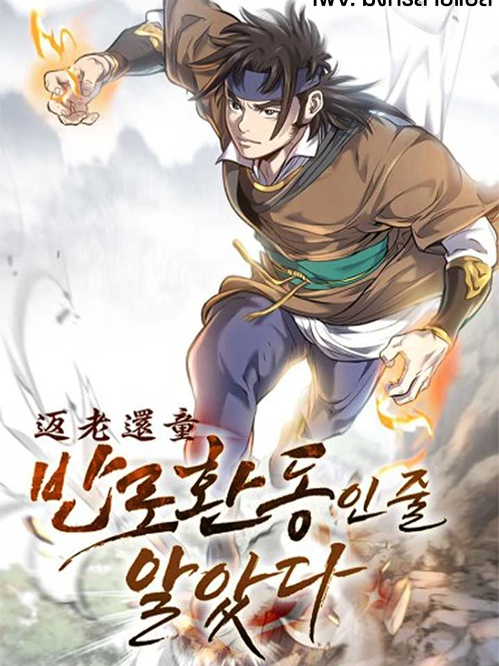 i-thought-it-was-a-return-to-youth